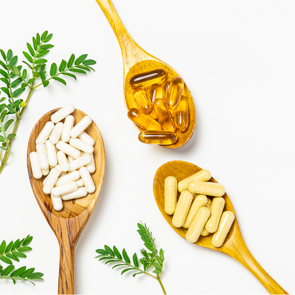 THE POWER OF PROBIOTICS FOR IMMUNITY