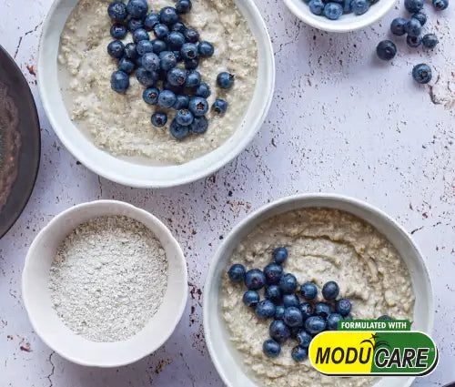Blueberry oatmeal bowl with moducare label.