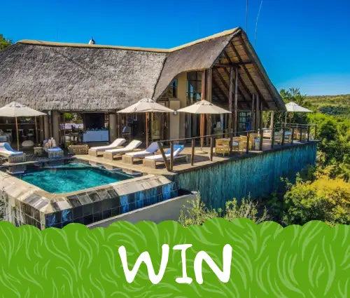 Luxury thatched-roof villa with a large swimming pool and lounge chairs.