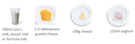 FEEDING YOUR TODDLER 101